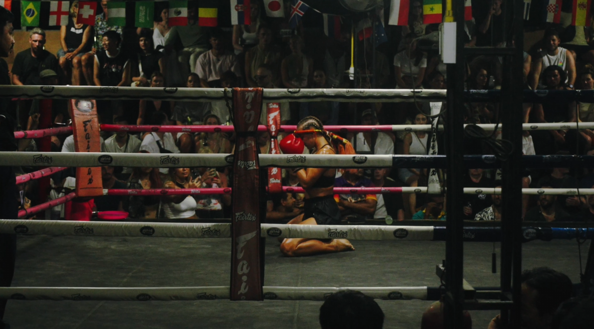 Social Media Promotion